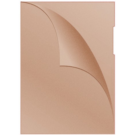 Obwoluta DONAU typu L, PP, A4, groszkowa, 120mikr., pomarańczowa