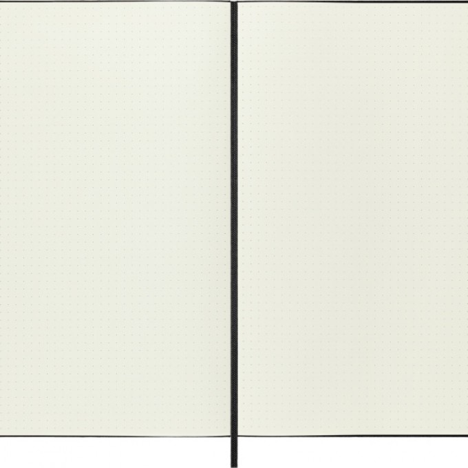 Notes MOLESKINE Classic XXL (21,6x27,9 cm) w kropki, twarda oprawa, 192 strony, czarny