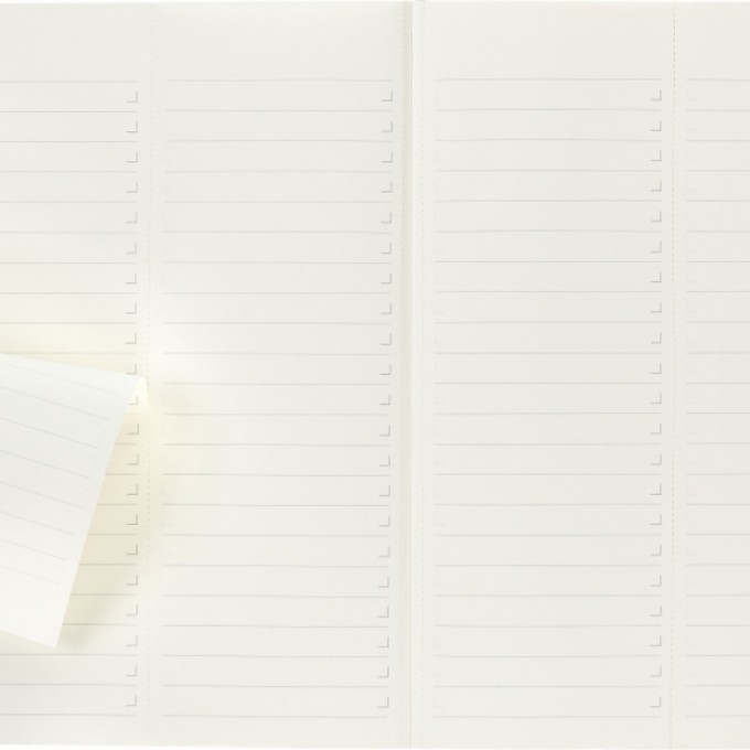 Notes MOLESKINE PROFESSIONAL A4 (21x29,7 cm), miękka oprawa, 192 strony, czarny