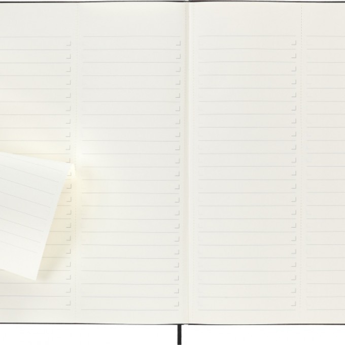 Notes MOLESKINE PROFESSIONAL A4 (21x29,7 cm), twarda oprawa, 192 strony, czarny