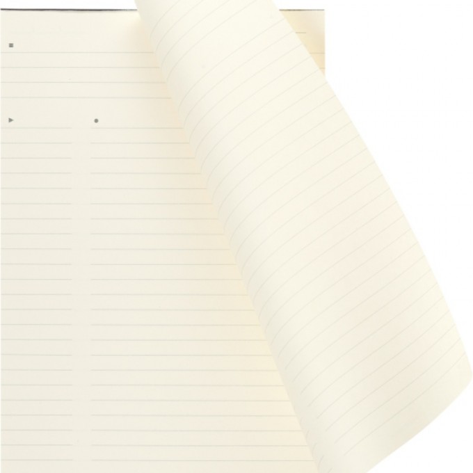 Notes reporterski PRO PAD MOLESKINE L (13x21 cm), 96 stron, czarny