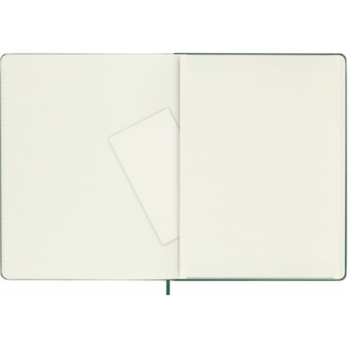 Notes MOLESKINE Classic XL (19x25cm) w kratkę, twarda oprawa, myrtle green, 192 strony, zielony