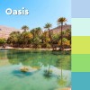 Karteczki samoprzylepne Post-it® Super Sticky, OASIS, 76x76mm, 5x90 kart.