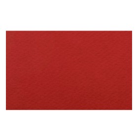 Papier A4 05 Rubino 220g