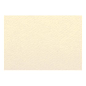 Papier A4 13 Grigio 220g