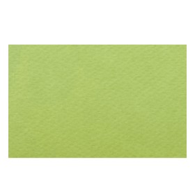 Papier A4 18 Pistacchio 220g