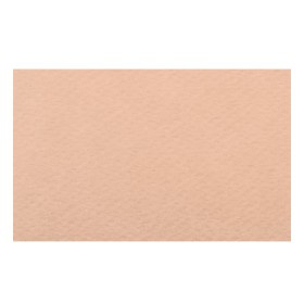 Papier A4 30 Salmone 220g