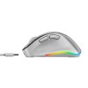 Mysz bezprzewodowa, Genius Ergo 9000S Pro, srebrna, optyczna, 2400DPI