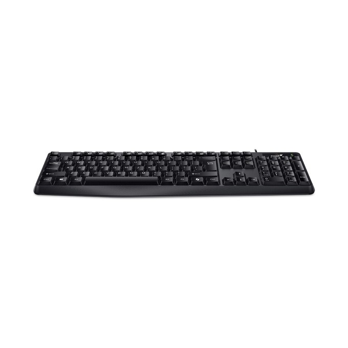 Genius KB-117 COPILOT, klawiatura CZ/SK, klasyczna, wodoodporny rodzaj przewodowa (USB), czarna, nie