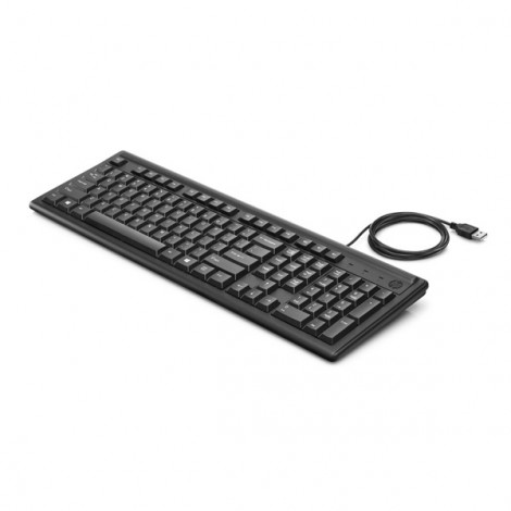 HP 100, Klawiatura CZ, klasyczna, USB, czarna