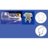 Konektor RJ45, linka, 100-pack, cana za 1 szt Konektor RJ45, linka, 100-pack, cana za 1 szt