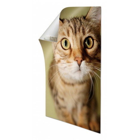 Paski wymienne do haczyków wielokrotnego użytku COMMAND™ (17024 PL), 12 szt.